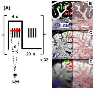 Figure 1 from Yen (2011)
