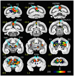 Figure 1 from Belcher (2016)