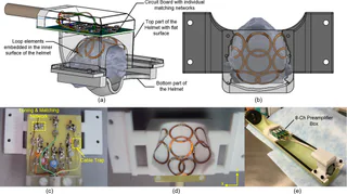 Figure 1 from Papoti (2017)