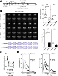 Figure 1 from Choi (2018)