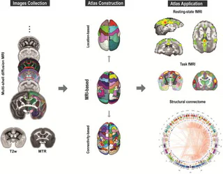 Figure from Liu (2018)