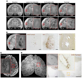 Figure 1 from Lee (2019)