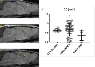 Figure 1 from Szczupak (2020)