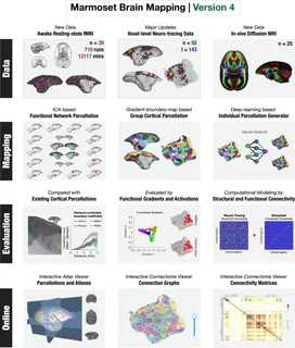 Figure 1 from Tian (2022)