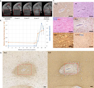 Figure 1 from Donadieu (2023)